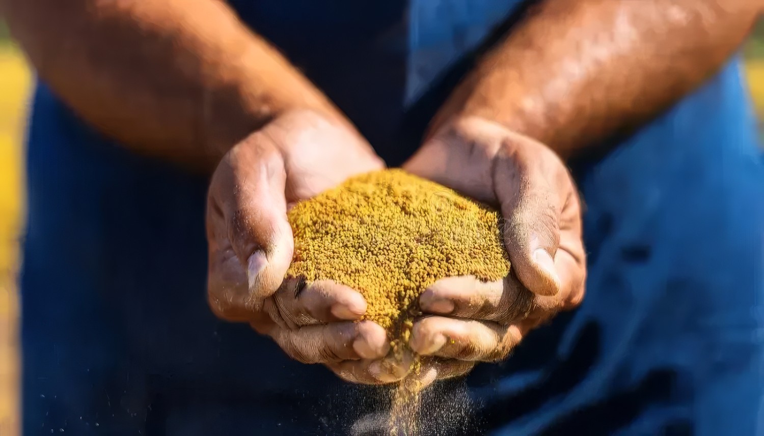 Canadian canola meal for livestock and animal feed supply