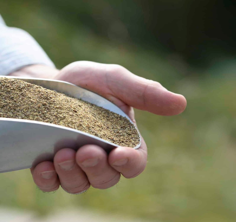 Canadian canola meal for livestock and poultry feed